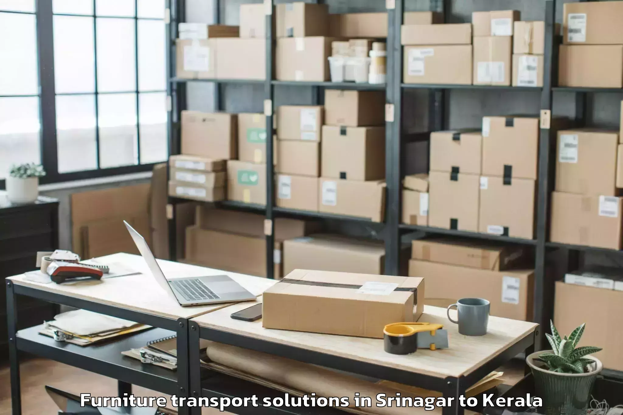 Book Srinagar to Kannapuram Furniture Transport Solutions